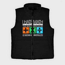 Мужской жилет Ed Sheeran: I hate math, цвет: 3D-черный