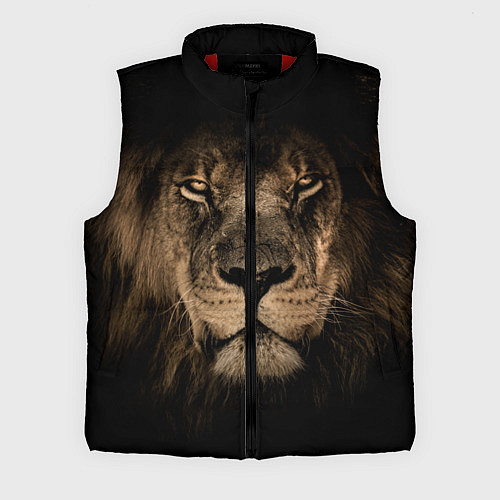 Мужской жилет Львиный взгляд / 3D-Красный – фото 1