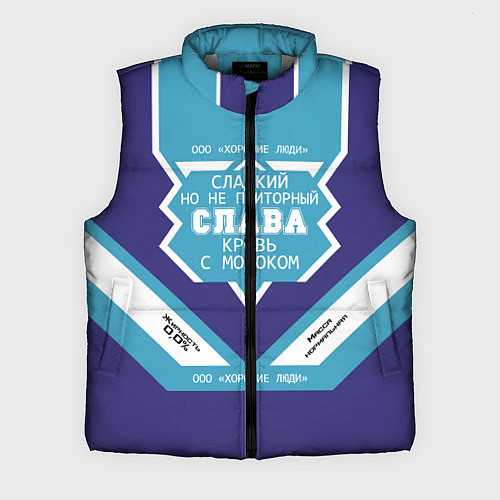 Мужской жилет Слава сладкий / 3D-Светло-серый – фото 1