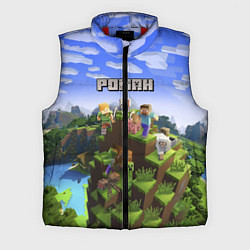 Мужской жилет Майнкрафт: Роман, цвет: 3D-красный