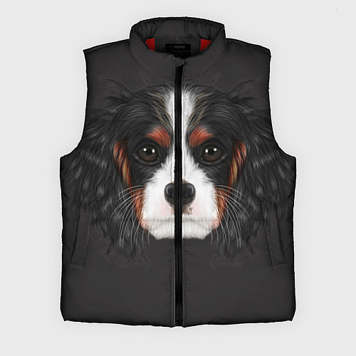 Мужской жилет Cavalier King Charles / 3D-Красный – фото 1