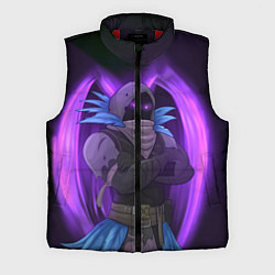 Мужской жилет Violet Raven