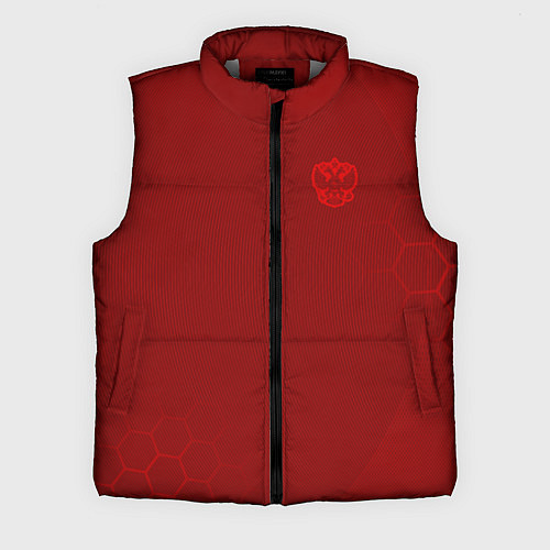 Мужской жилет Russia 2022 Red Mashine / 3D-Светло-серый – фото 1