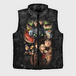 Мужской жилет How to Train Your Dragon, цвет: 3D-черный