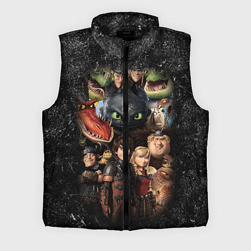 Мужской жилет How to Train Your Dragon / 3D-Черный – фото 1