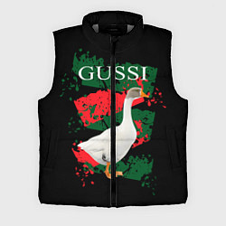 Мужской жилет GUSSI Hype