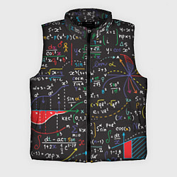 Мужской жилет Math