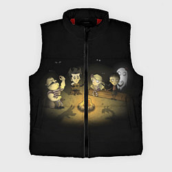 Мужской жилет Don’t Starve campfire, цвет: 3D-красный