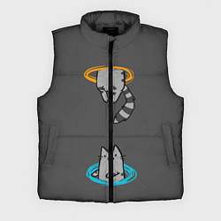 Мужской жилет Кот в Портале, цвет: 3D-черный