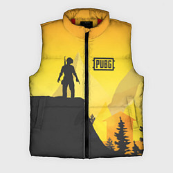 Мужской жилет PUBG: Sunrise, цвет: 3D-красный