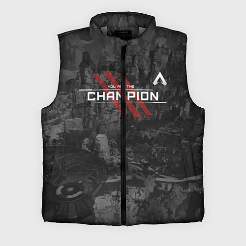 Мужской жилет You Are The Champion / 3D-Светло-серый – фото 1