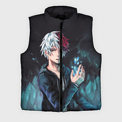 Мужской жилет Лёд