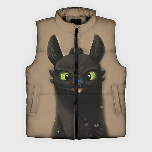 Мужской жилет Как приручить дракона / 3D-Черный – фото 1