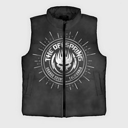 Мужской жилет The Offspring, цвет: 3D-черный