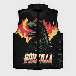 Мужской жилет Flame Godzilla, цвет: 3D-черный