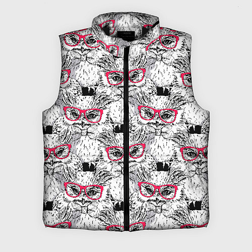 Мужской жилет Совы в очках / 3D-Черный – фото 1