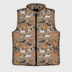 Мужской жилет Кони-лошади, цвет: 3D-светло-серый