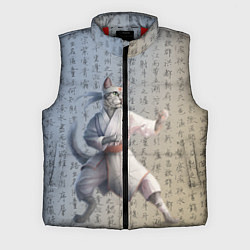 Мужской жилет Karate cat