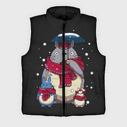 Мужской жилет My Neighbor Totoro, цвет: 3D-черный