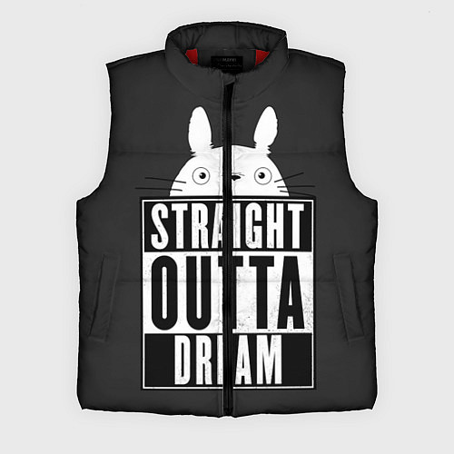 Мужской жилет Тоторо Straight outta dream / 3D-Красный – фото 1