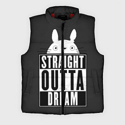 Мужской жилет Тоторо Straight outta dream, цвет: 3D-красный
