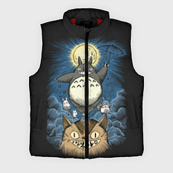 Мужской жилет My Neighbor Totoro, цвет: 3D-красный