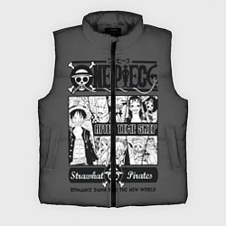 Мужской жилет One Piece