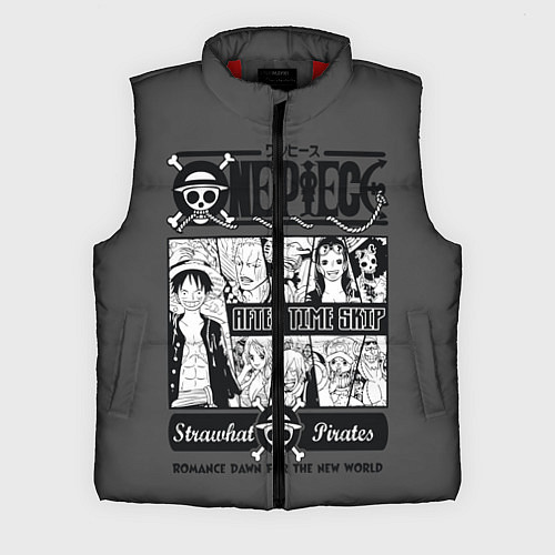 Мужской жилет One Piece / 3D-Красный – фото 1