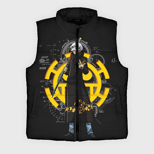 Мужской жилет One Piece / 3D-Черный – фото 1