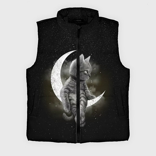 Мужской жилет Кот на луне / 3D-Черный – фото 1