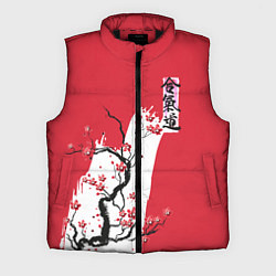 Мужской жилет Сакура Айкидо