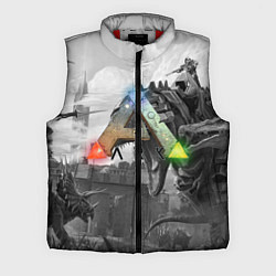 Мужской жилет Ark Survival Evolved, цвет: 3D-красный