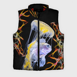 Мужской жилет Медуза