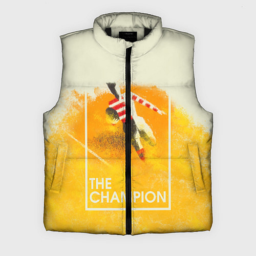 Мужской жилет Регби The Champion / 3D-Черный – фото 1