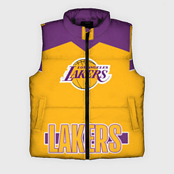 Мужской жилет Los Angeles Lakers, цвет: 3D-черный