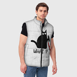 Мужской жилет What cat, цвет: 3D-черный — фото 2