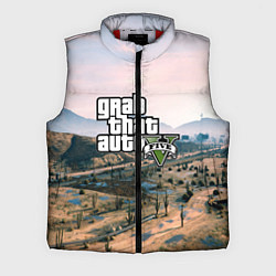Мужской жилет Grand Theft Auto 5, цвет: 3D-красный