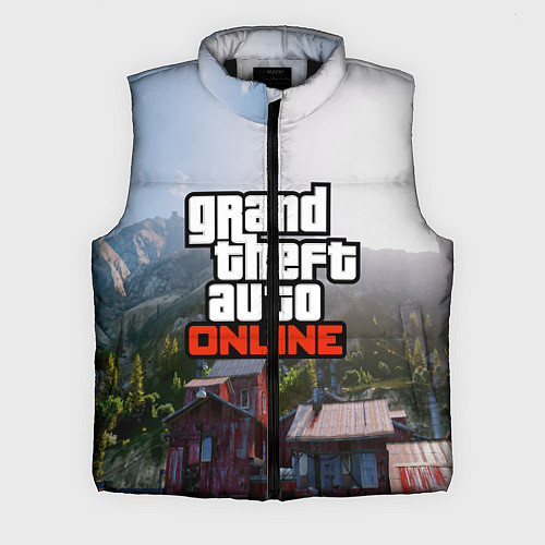 Мужской жилет GTA Online / 3D-Черный – фото 1