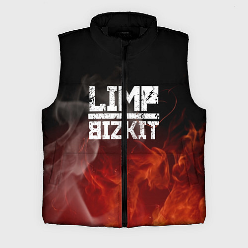 Мужской жилет LIMP BIZKIT / 3D-Черный – фото 1