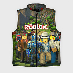 Мужской жилет ROBLOX