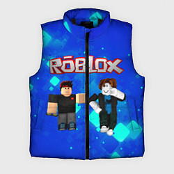 Мужской жилет ROBLOX