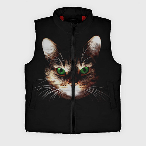 Мужской жилет Зеленоглазый кот / 3D-Красный – фото 1