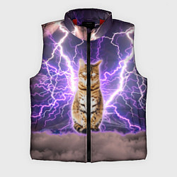 Мужской жилет Котушка Теслы, цвет: 3D-красный