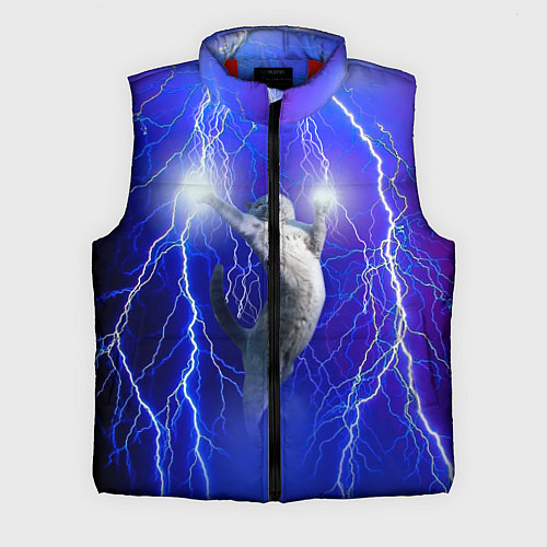 Мужской жилет Грозовой кошак / 3D-Красный – фото 1