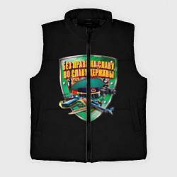 Мужской жилет Без права на славу во славу державы, цвет: 3D-черный