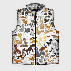 Мужской жилет Котоколлаж 01