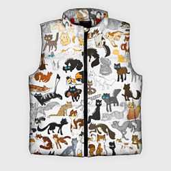 Мужской жилет Котоколлаж 03, цвет: 3D-красный