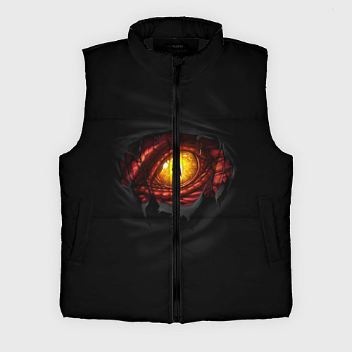Мужской жилет Дракон / 3D-Черный – фото 1