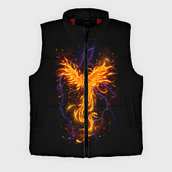 Мужской жилет Phoenix