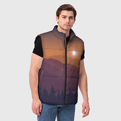 Мужской жилет Горы, цвет: 3D-черный — фото 2